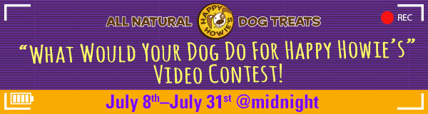 What would your dog do