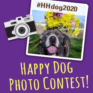 HH_PhotoContestBlog_FeaturedImage_2020