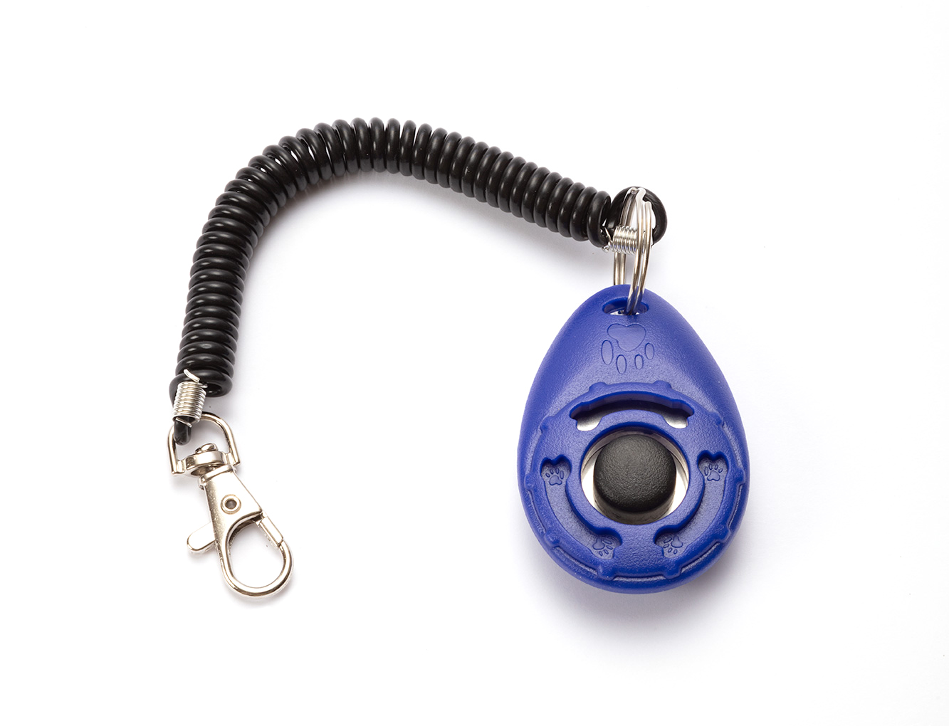 blue training clicker