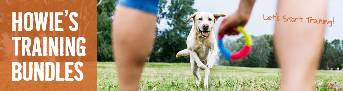 TrainingBundleBanner