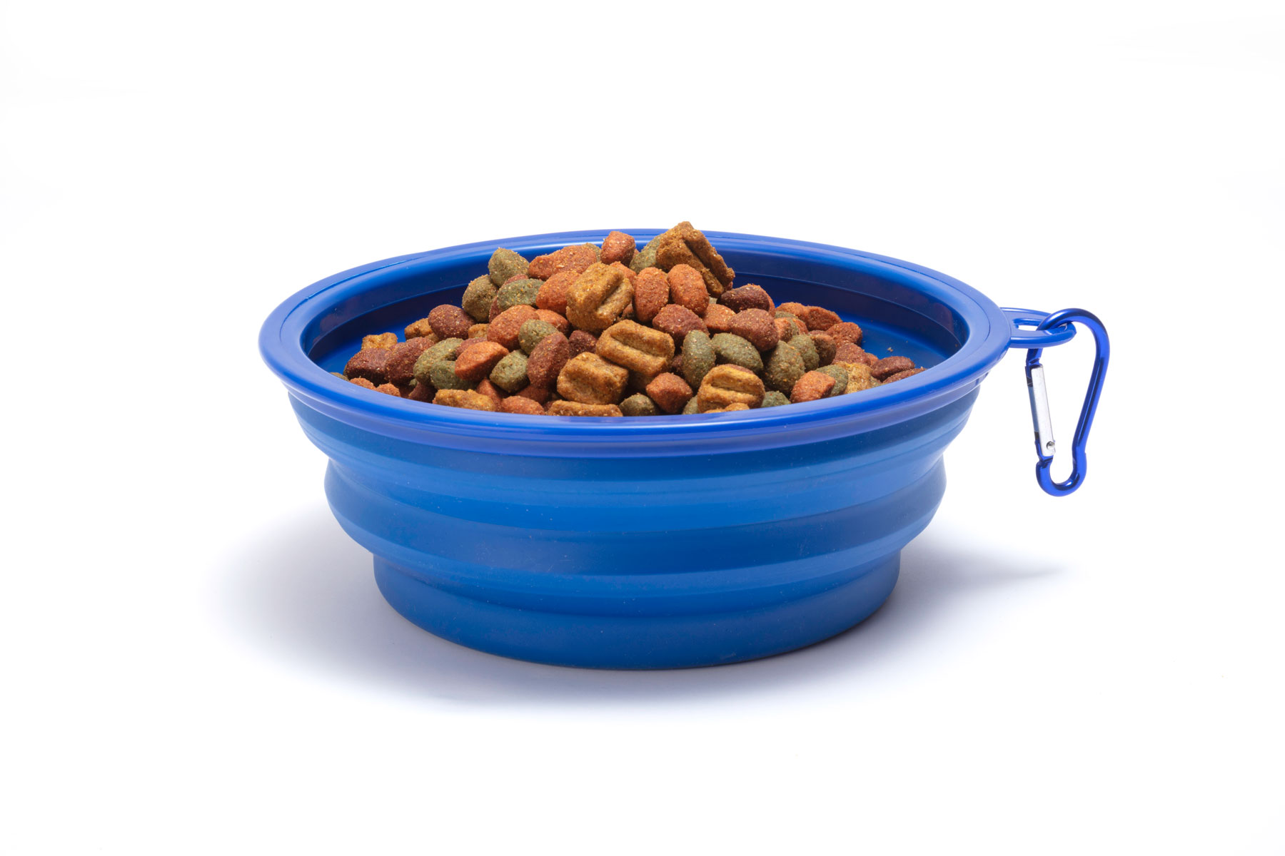 Collapsible Food Bowl