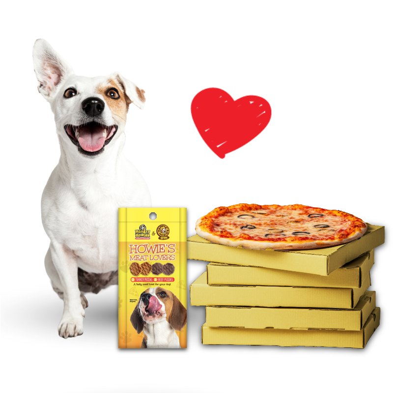 dog smiling with treats next to pizza boxes