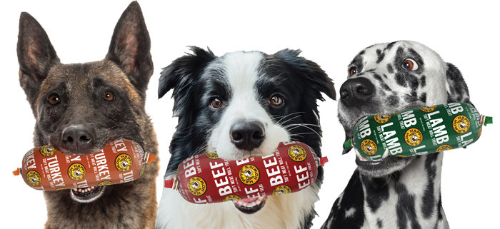 dogs holding meat rolls